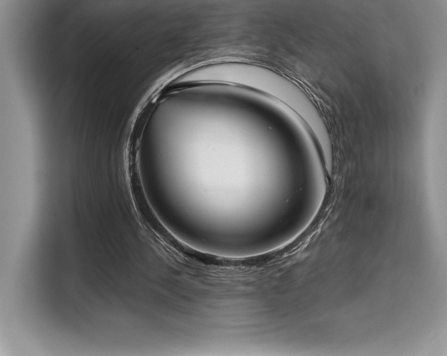 X0000110320244200905211532