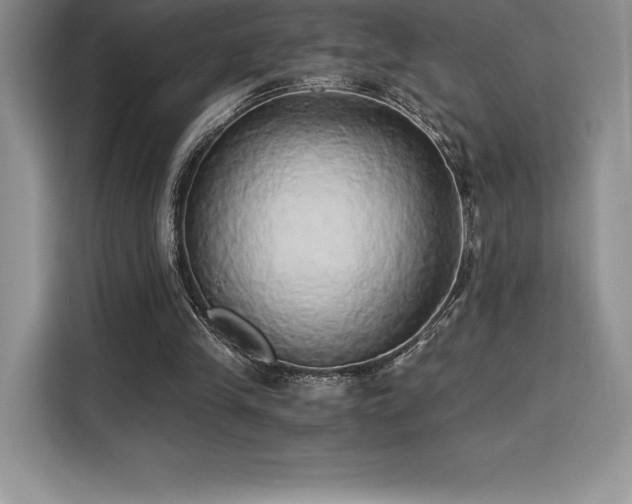 X0000110320245200905211532