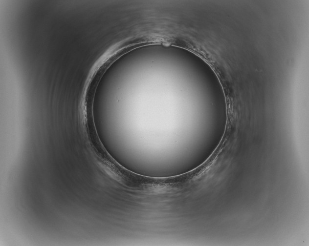 X0000110320246200905211532