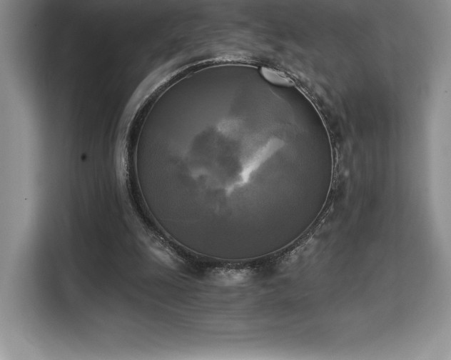 X0000110320247200905211532