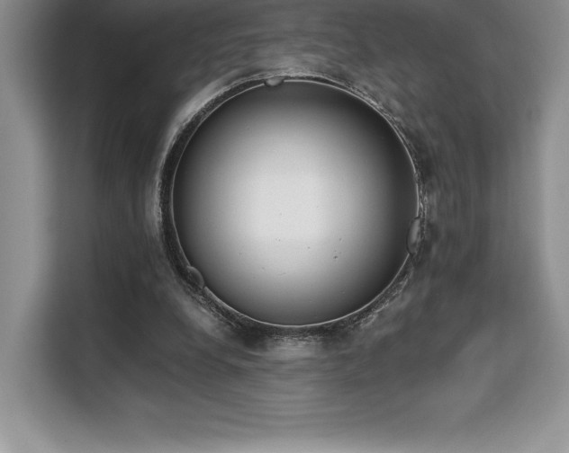 X0000110320248200905211532