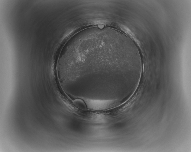 X0000110320249200905211532