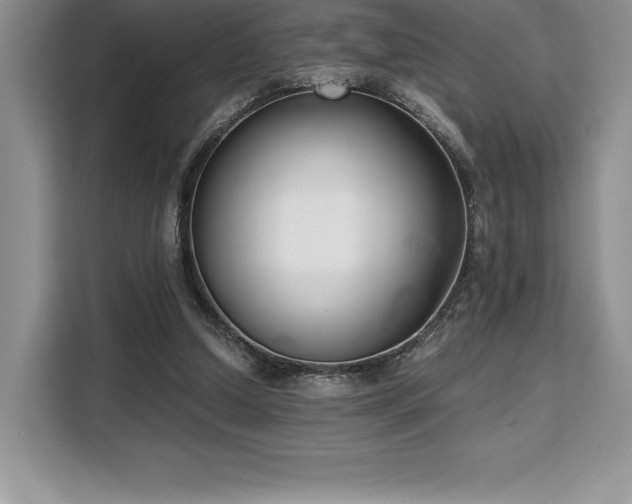 X0000110320250200905211532