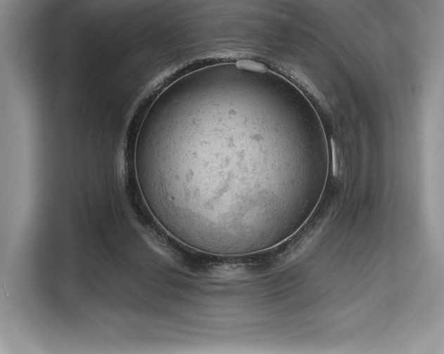 X0000110320252200905211532