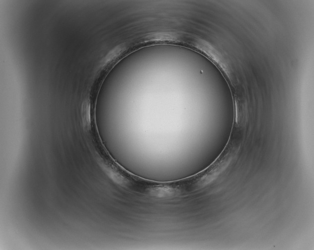 X0000110320253200905211532