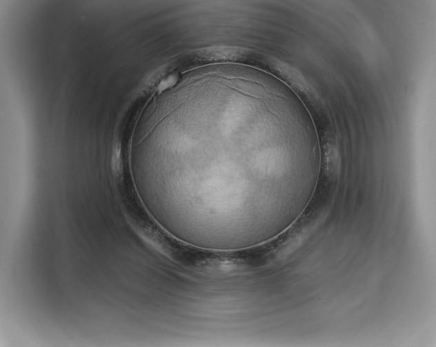 X0000110320254200905211532