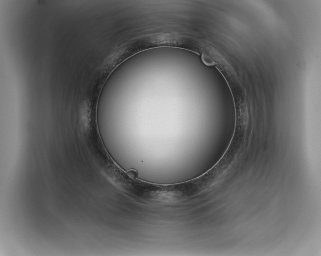 X0000110320255200905211532