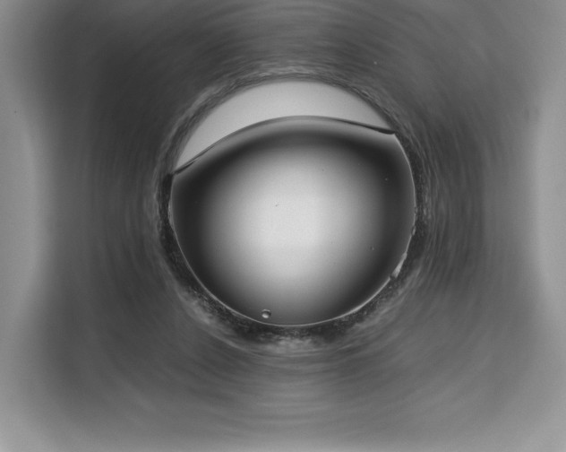 X0000110320256200905211532
