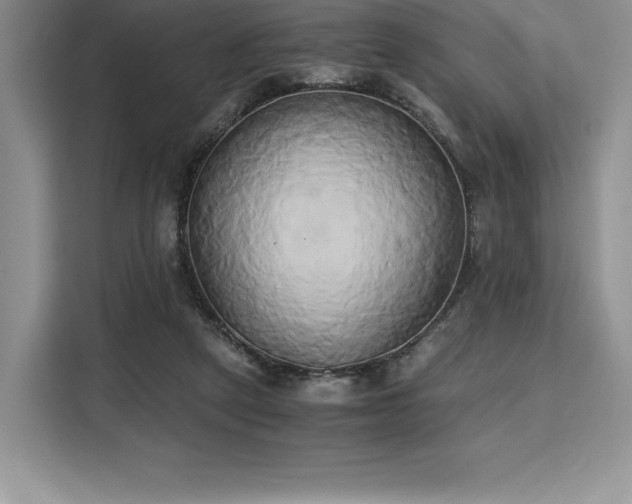 X0000110320257200905211532