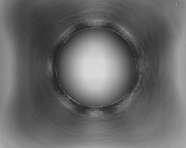 X0000110320258200905211532