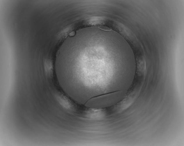X0000110320260200905211532