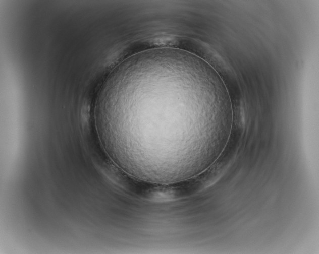 X0000110320263200905211532