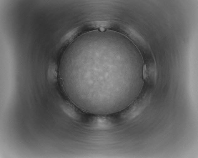 X0000110320264200905211532