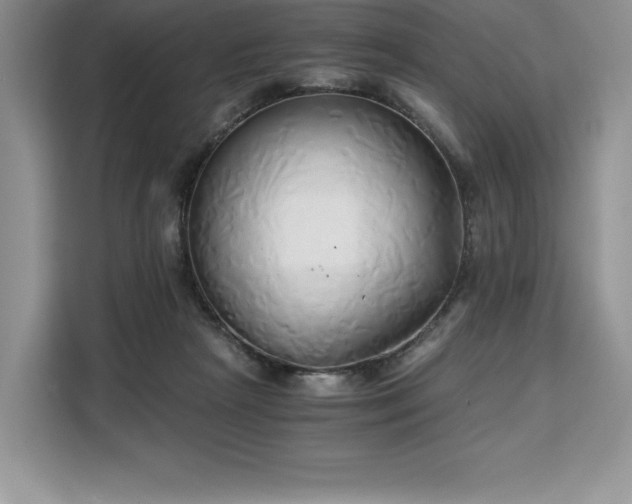 X0000110320265200905211532