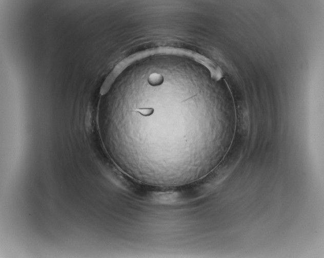 X0000110320266200905211532