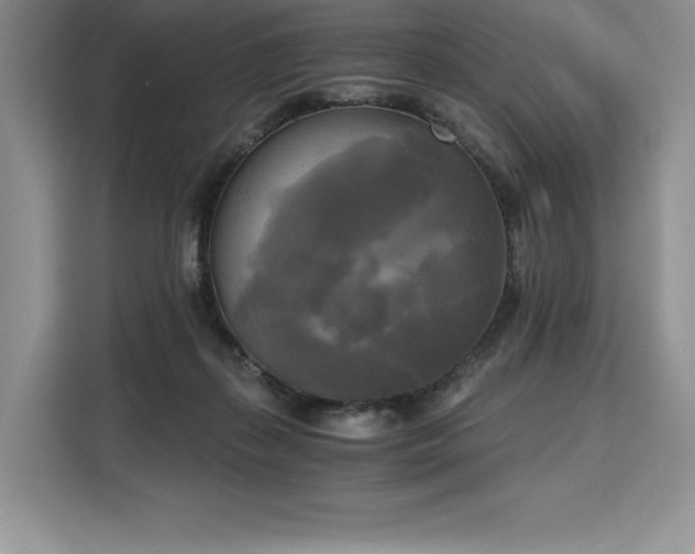X0000110320267200905211532