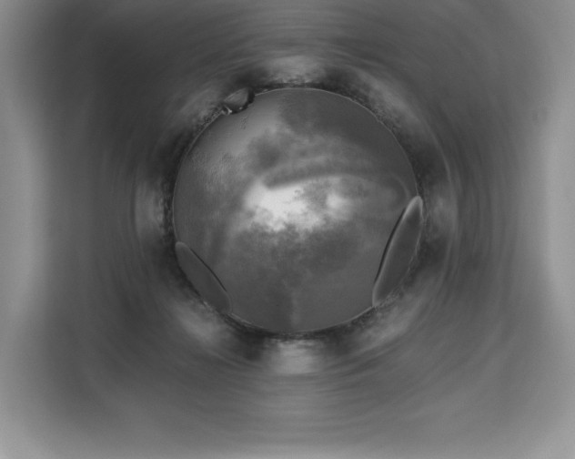 X0000110320268200905211532