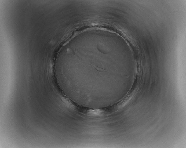 X0000110320269200905211532