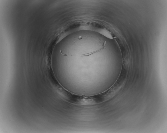 X0000110320270200905211532