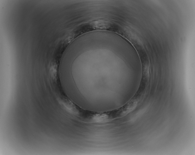 X0000110320271200905211532