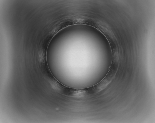 X0000110320274200905211532