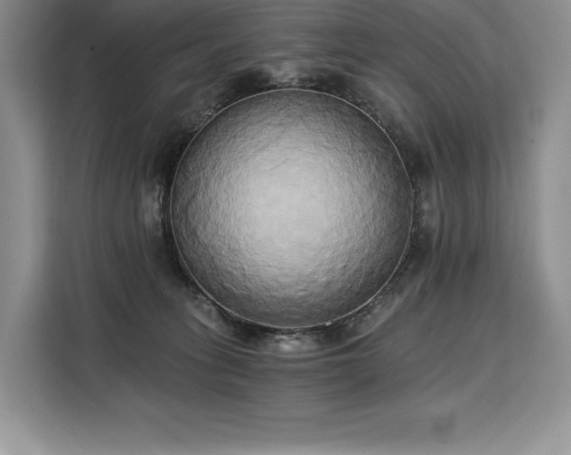 X0000110320275200905211532