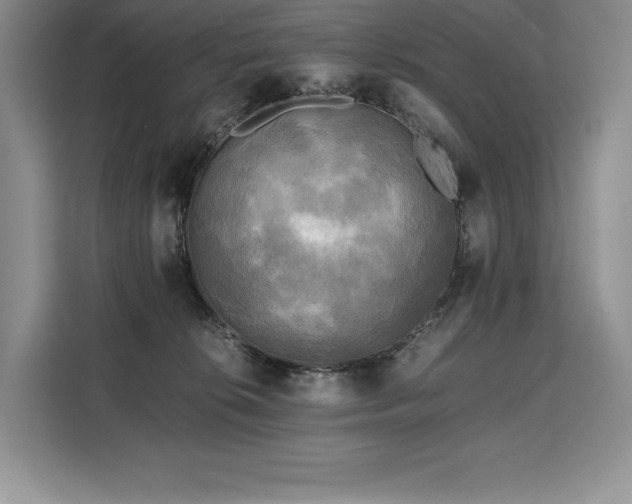 X0000110320276200905211532