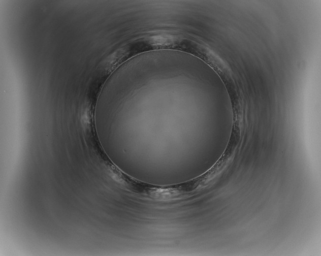 X0000110320277200905211532