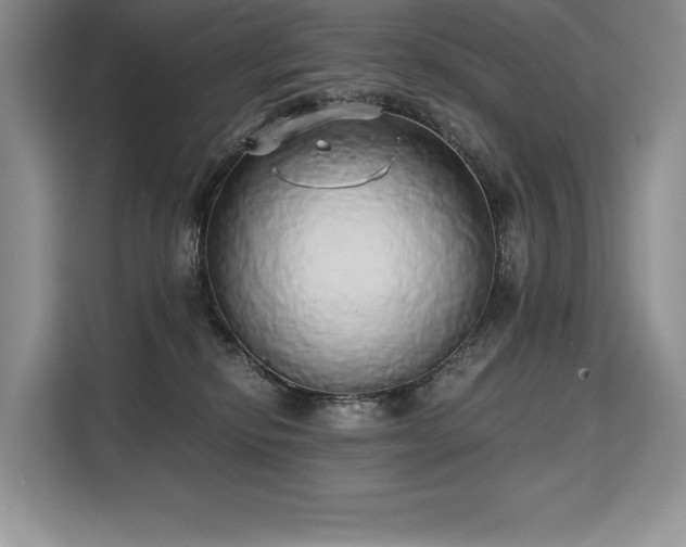 X0000110320278200905211532