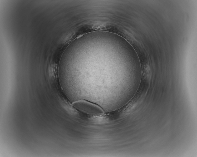 X0000110320280200905211532