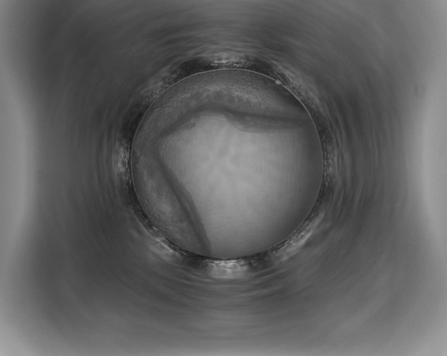 X0000110320281200905211532