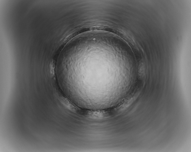 X0000110320282200905211532
