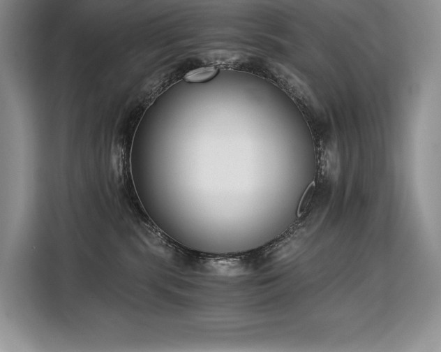 X0000110320283200905211532