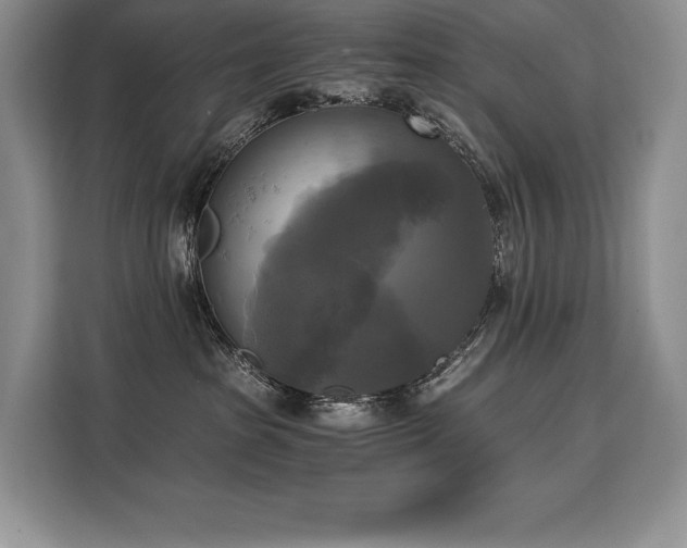 X0000110320285200905211532