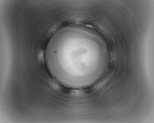 X0000110320286200905211532