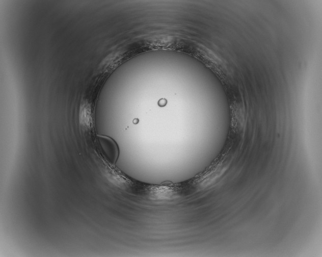 X0000110320287200905211532