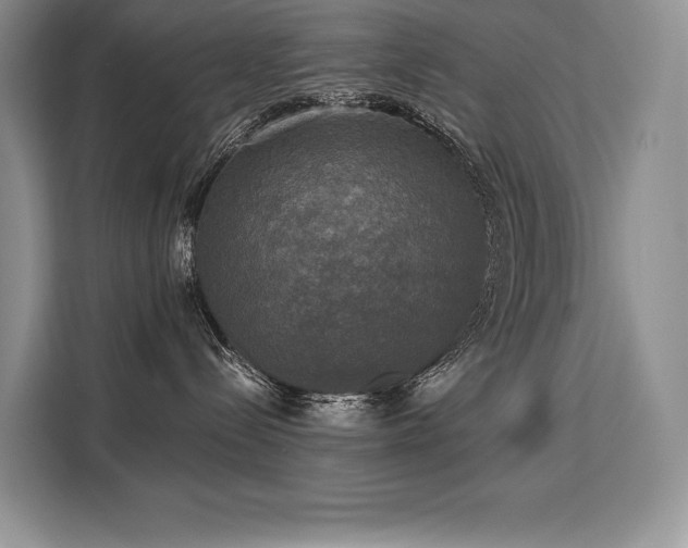 X0000110320288200905211532