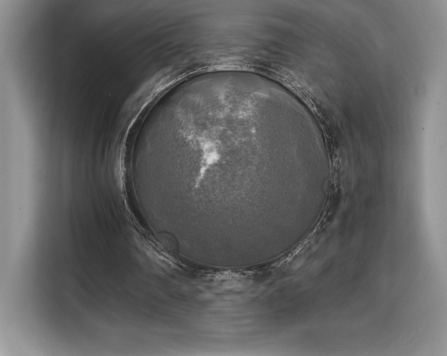 X0000110320290200905211532