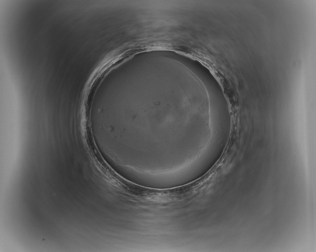X0000110320293200905211532
