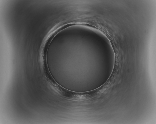 X0000110320295200905211532
