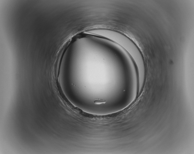X0000110320297200905211532