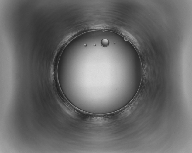 X0000110320298200905211532