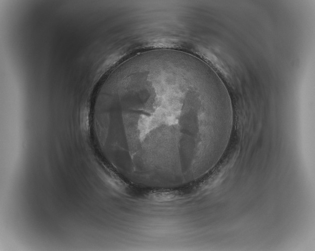 X0000110320299200905211532
