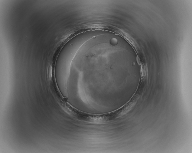 X0000110320301200905211532