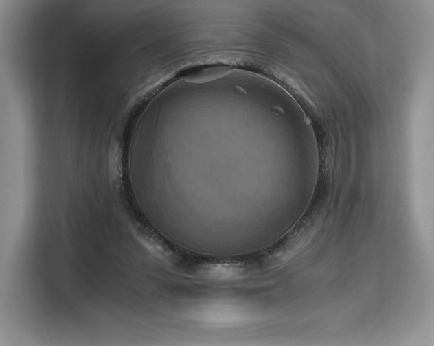 X0000110320303200905211532