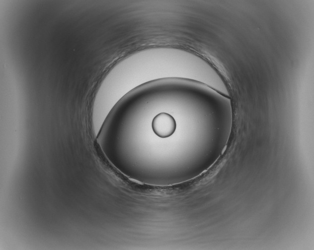 X0000110320305200905211532