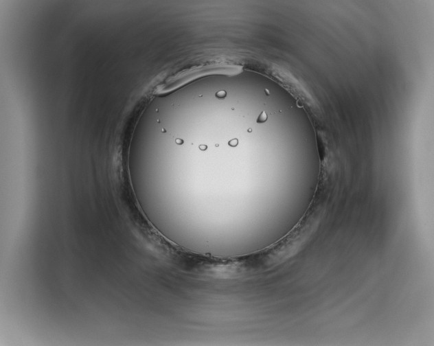 X0000110320306200905211532