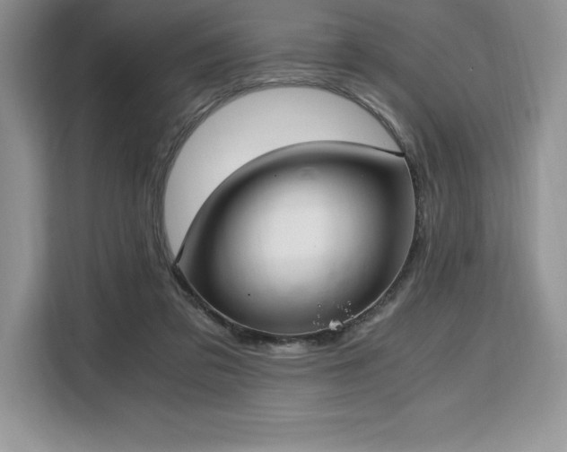 X0000110320309200905211532