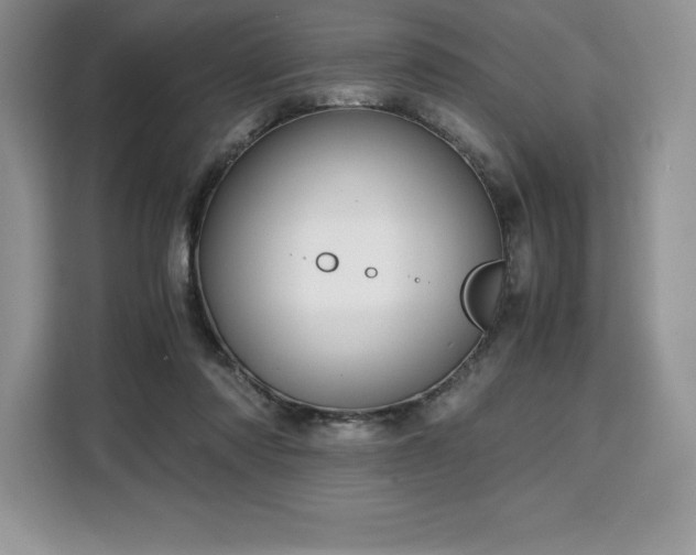 X0000110320310200905211532