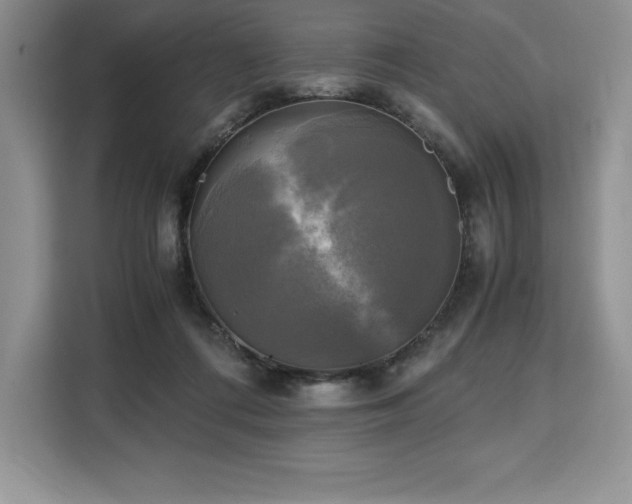 X0000110320312200905211531